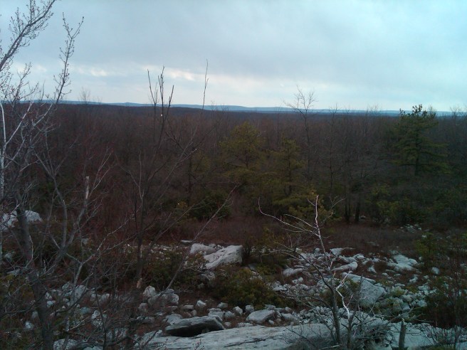 IMG00078-20110417-1557